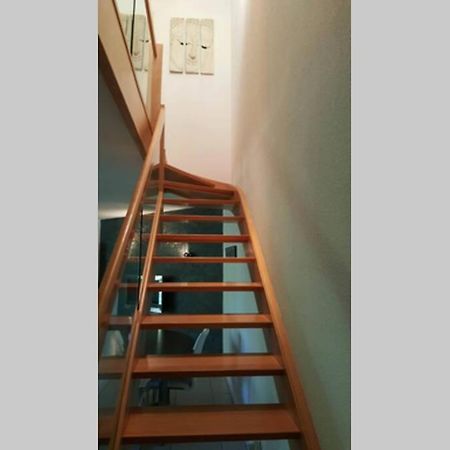 Superbe Duplex Au Nouveau Bassin Avec Vue Superbe Мюлуз Экстерьер фото